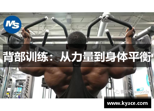 背部训练：从力量到身体平衡